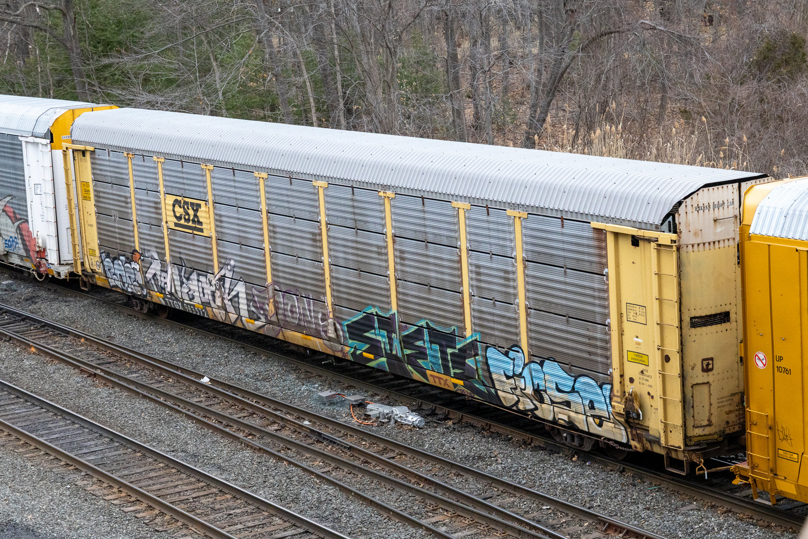 TTGX 983572