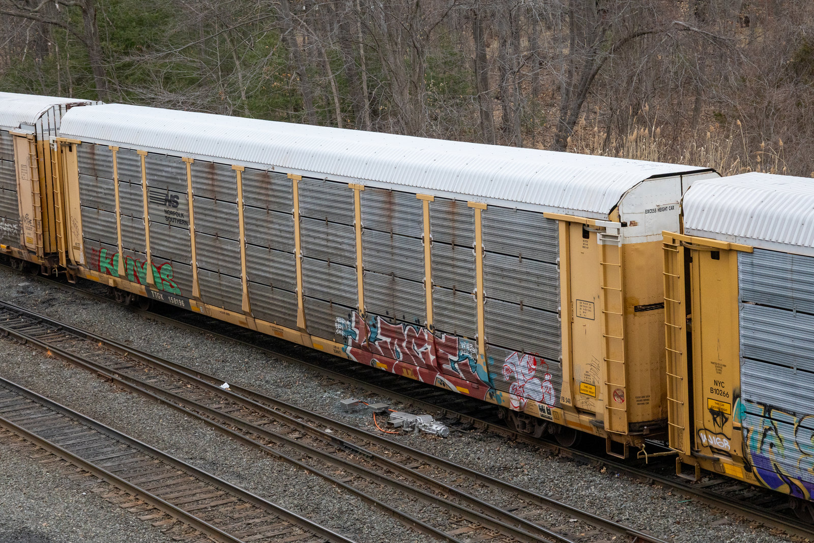 TTGX 158196