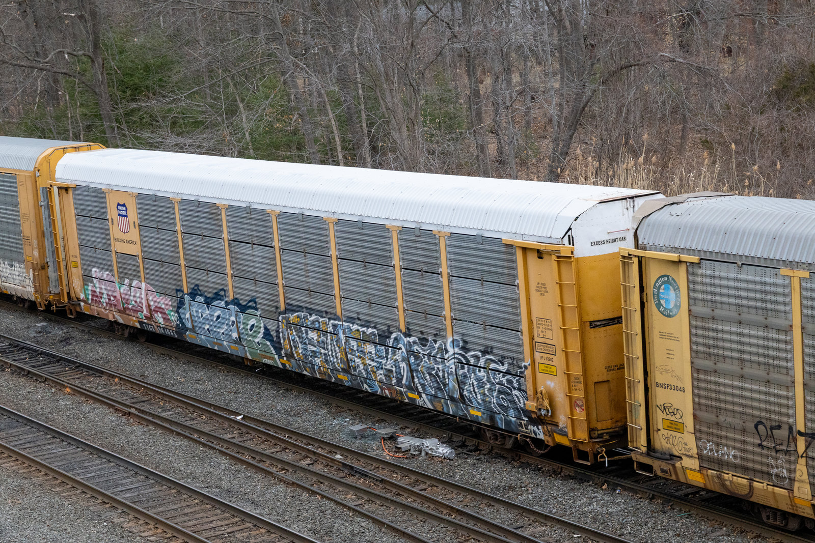 TTGX 964685