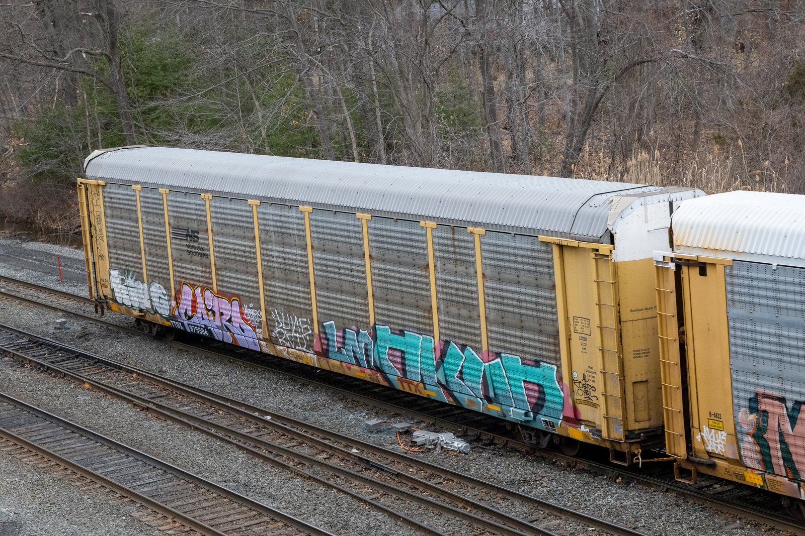 TTGX 975584