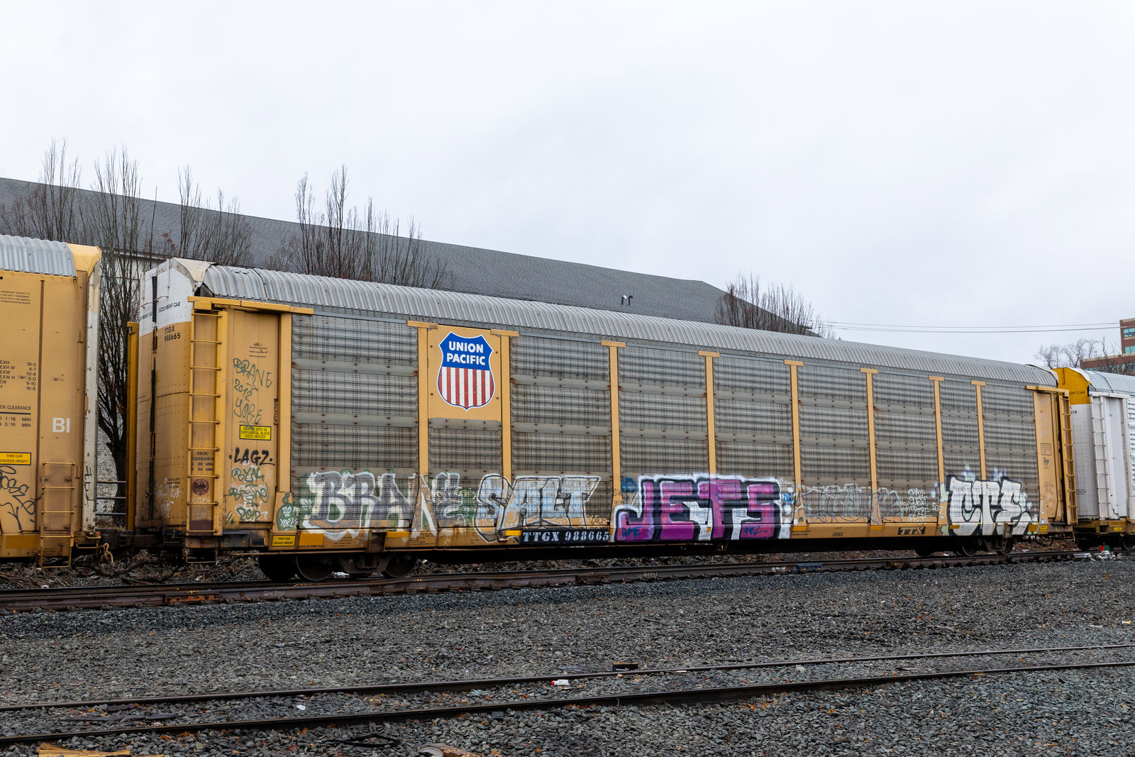 TTGX 988665