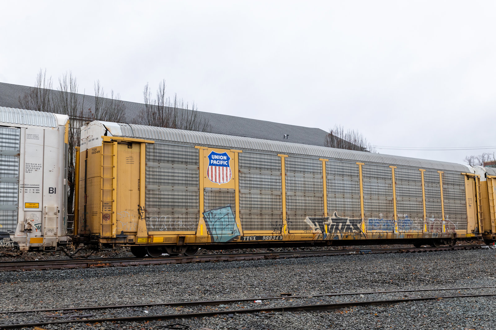 TTGX 988349