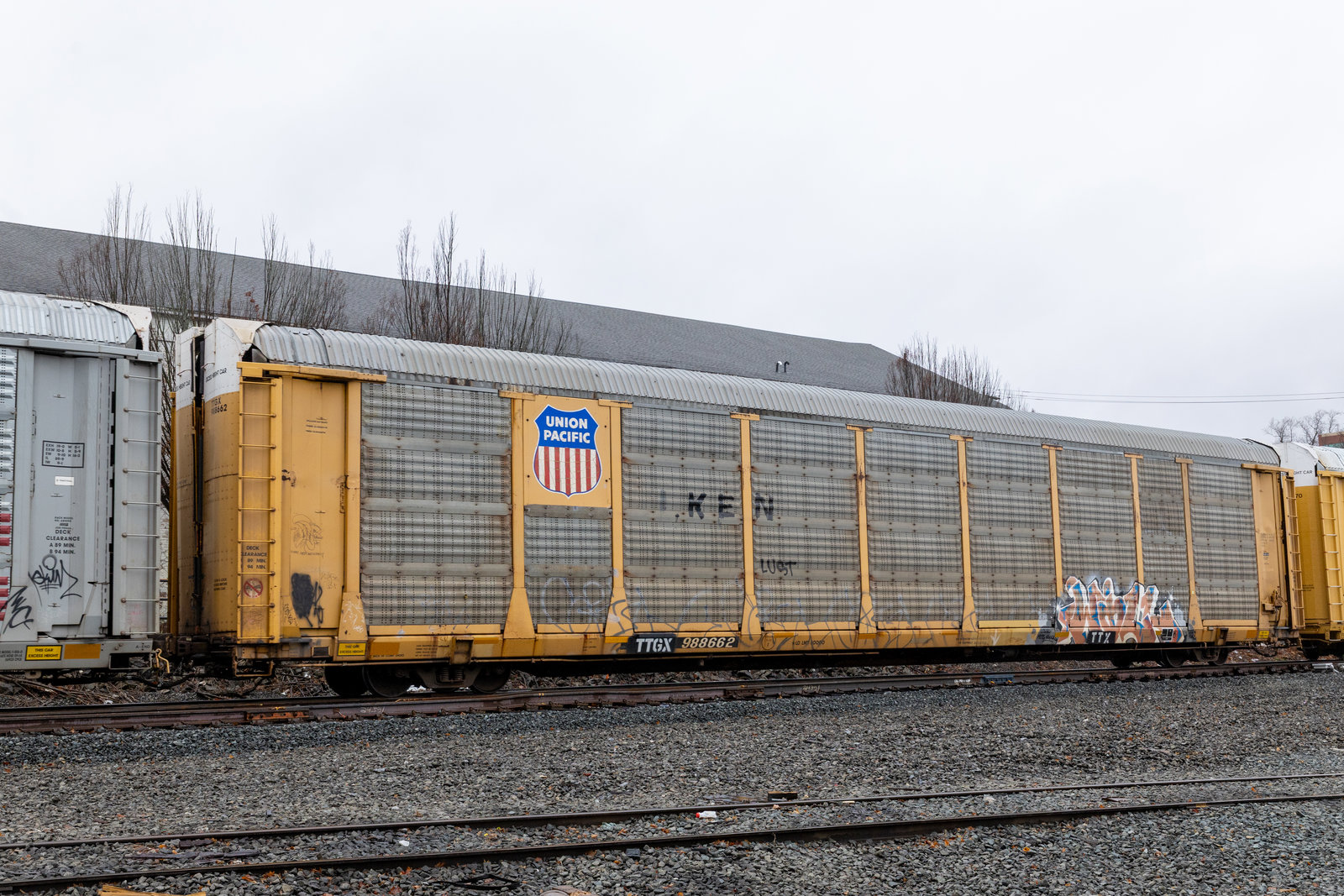 TTGX 988662