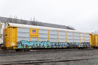 TTGX 975302