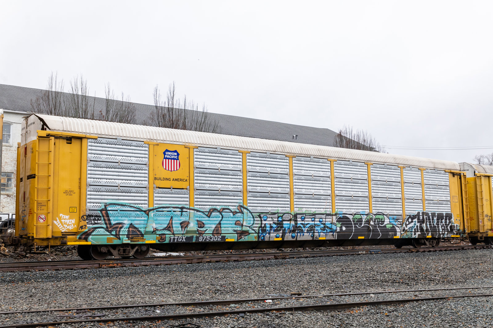 TTGX 975302