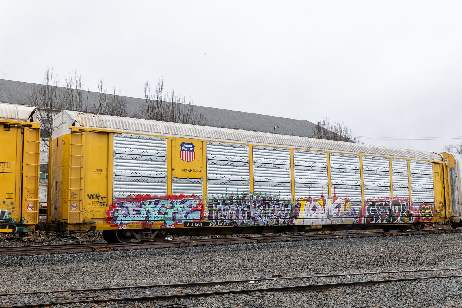 TTGX 993437