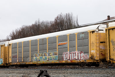TTGX 963919