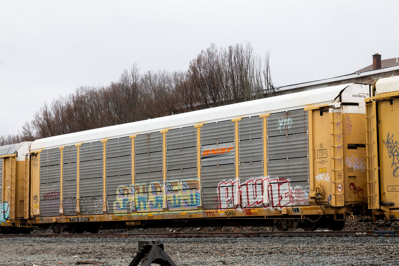 TTGX 963919