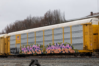 TTGX 156381