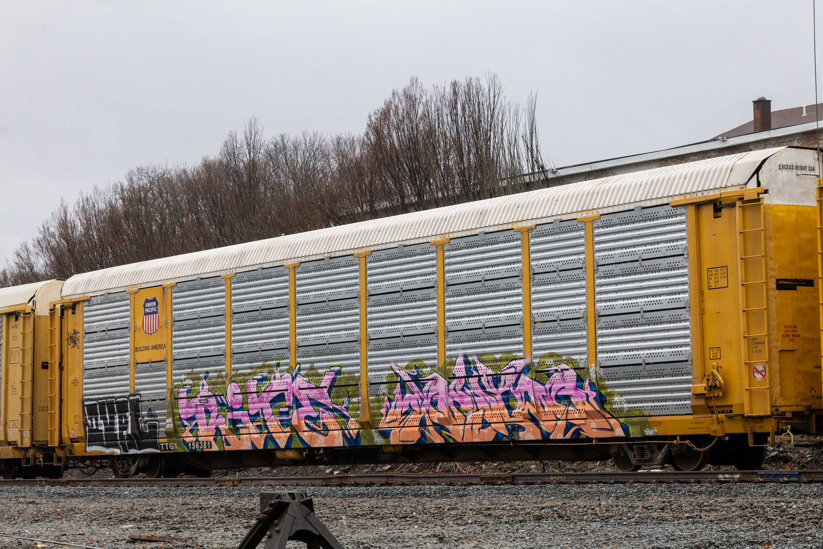 TTGX 156381