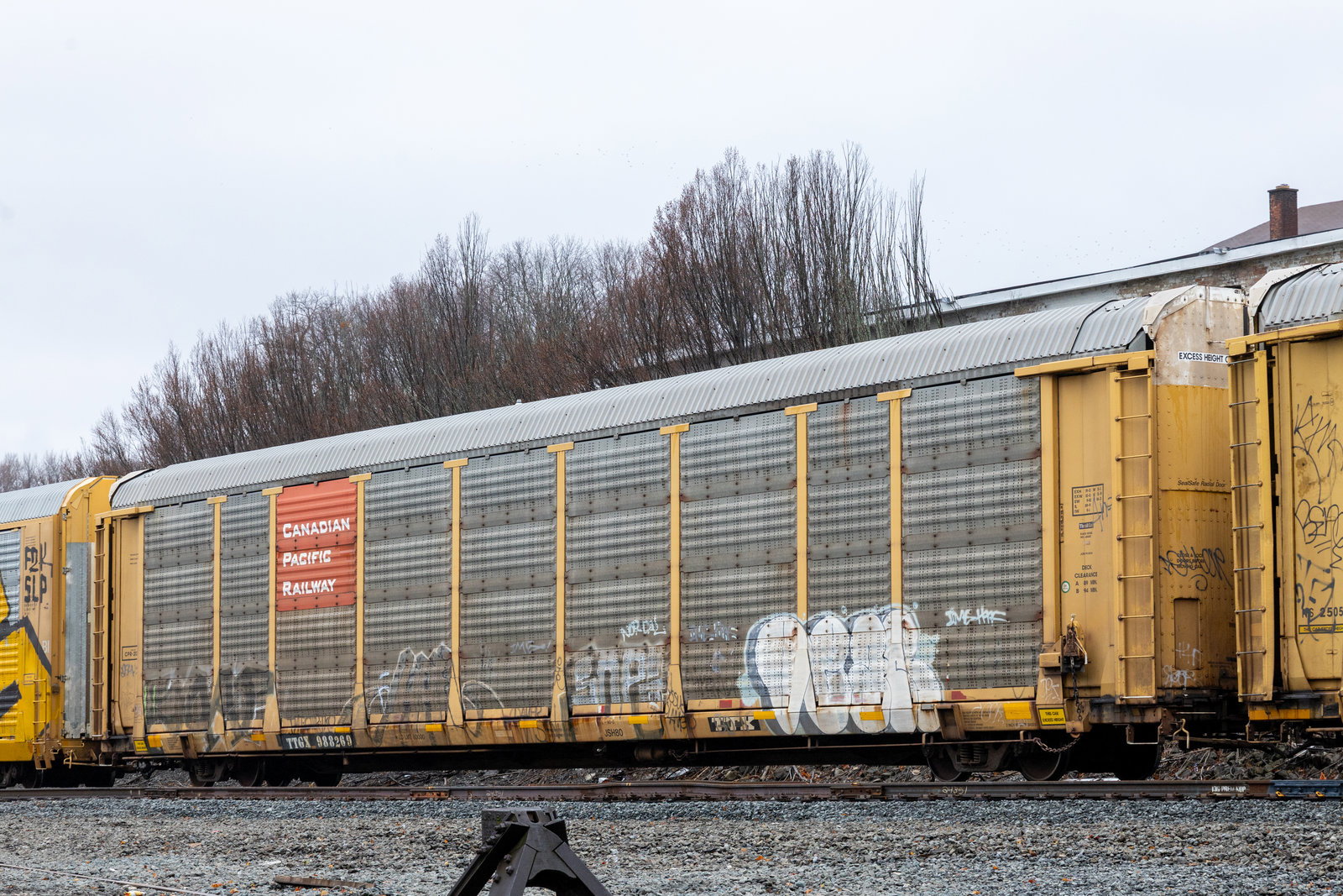TTGX 988269