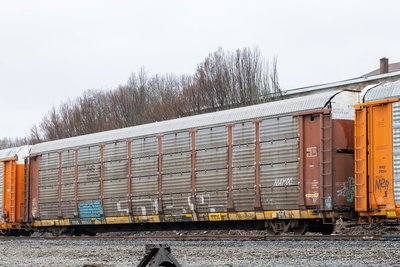 TTGX 983553