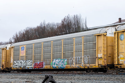 TTGX 995091
