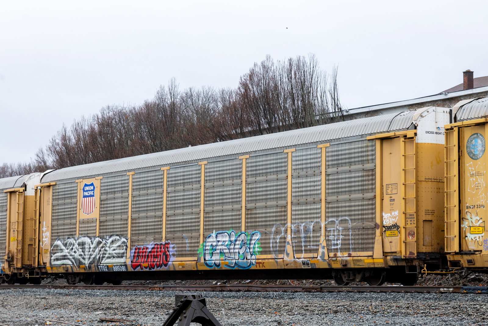 TTGX 995091