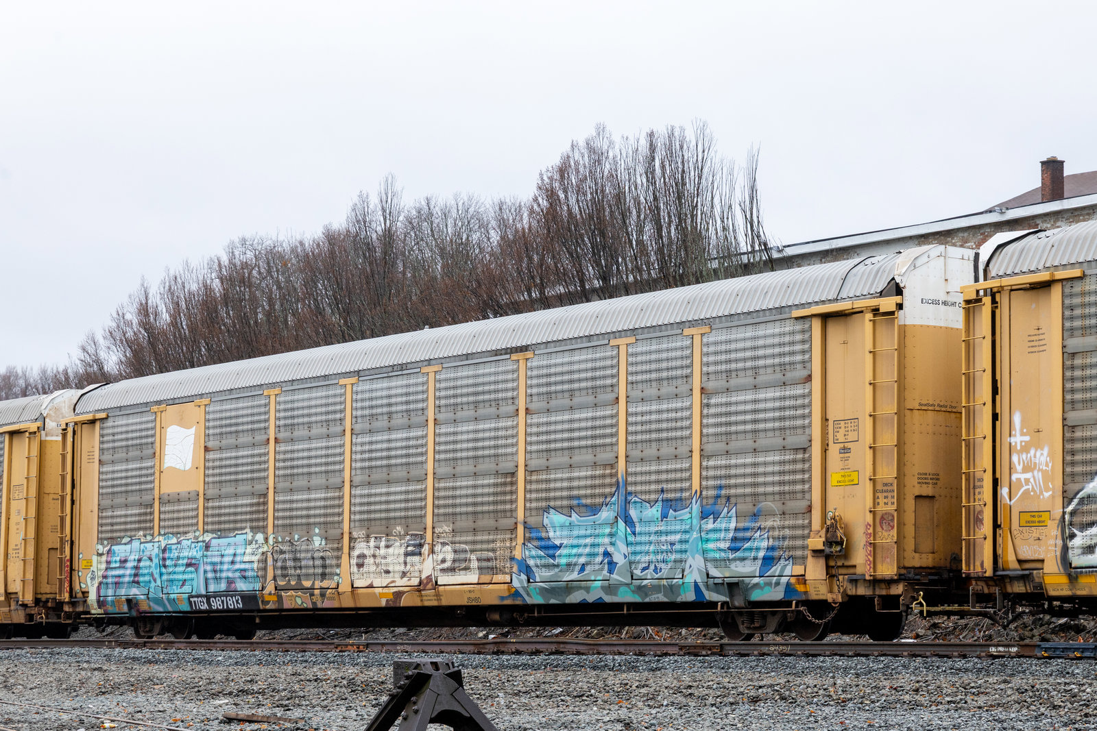 TTGX 987813