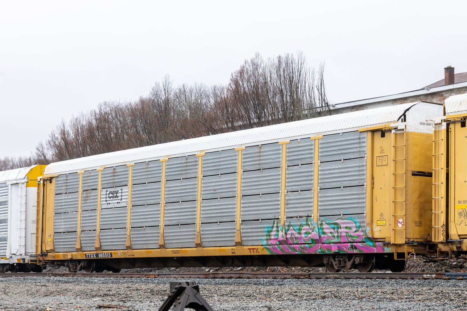 TTGX 965513