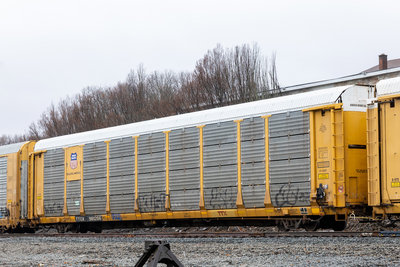 TTGX 981266