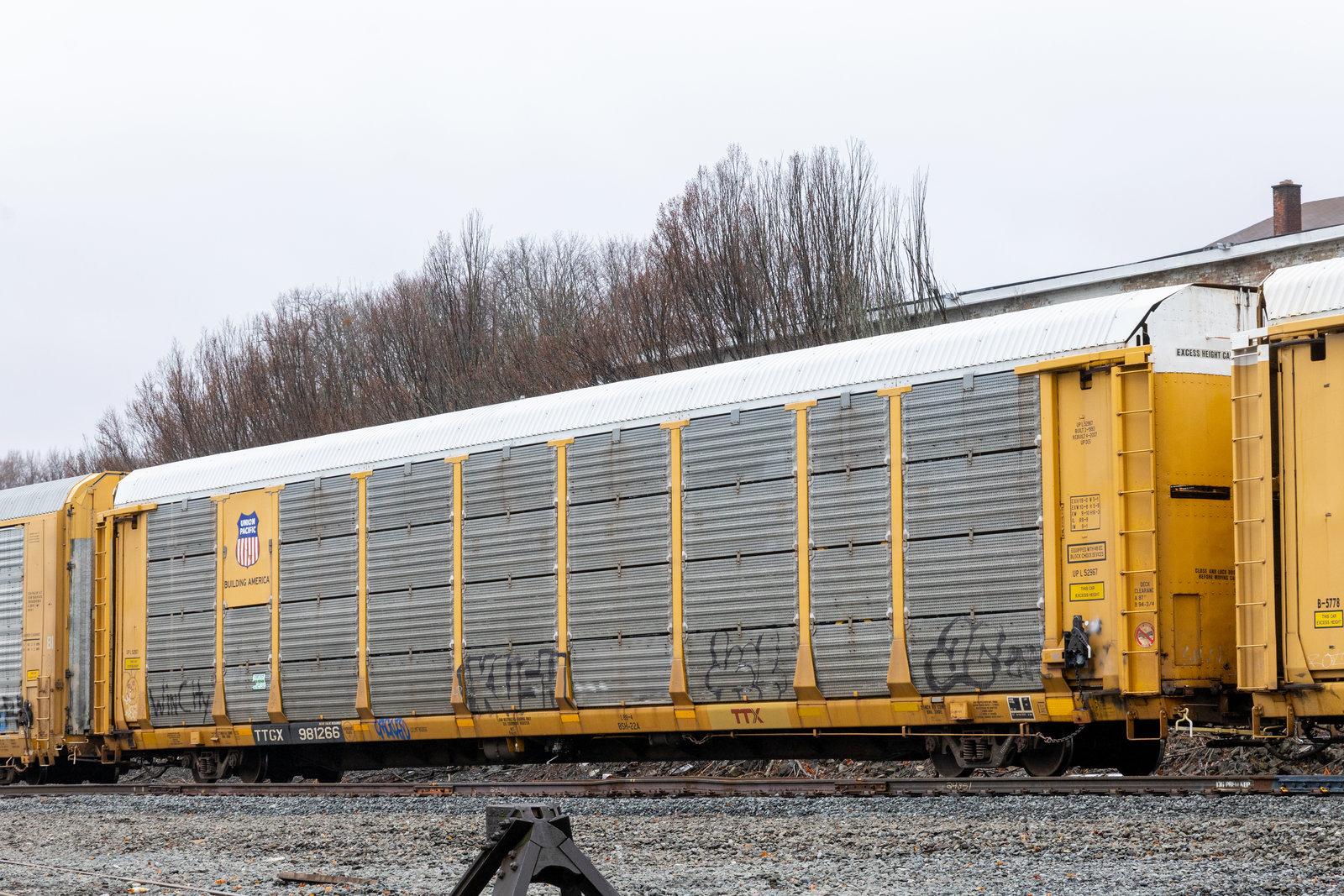 TTGX 981266