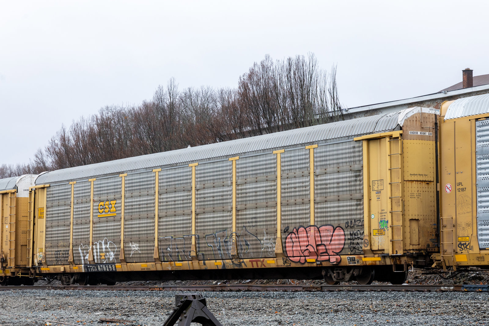 TTGX 979298