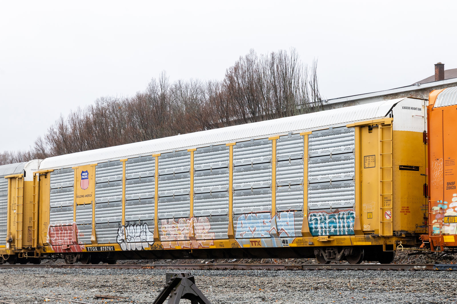 TTGX 975761