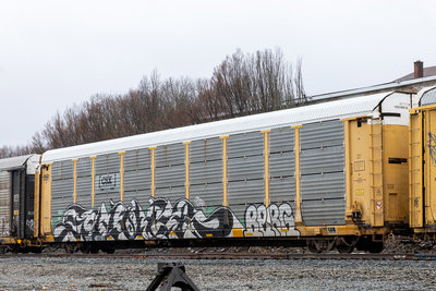 TTGX 157161