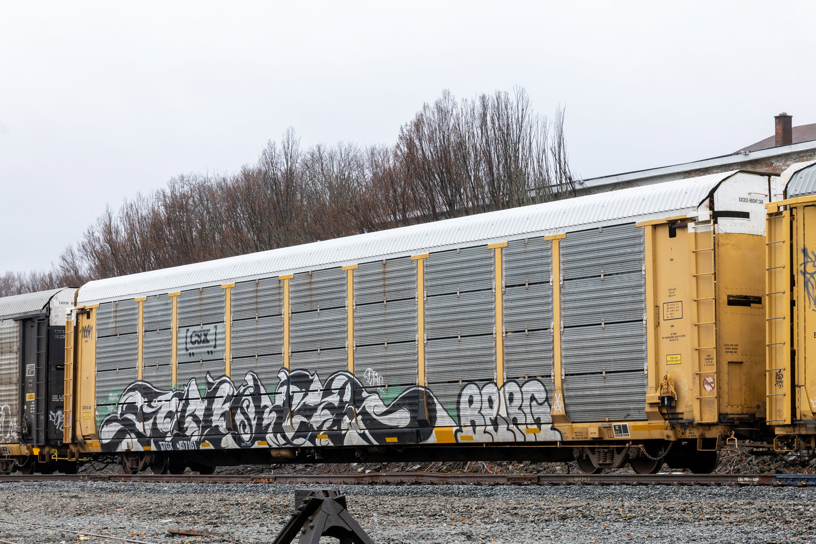 TTGX 157161