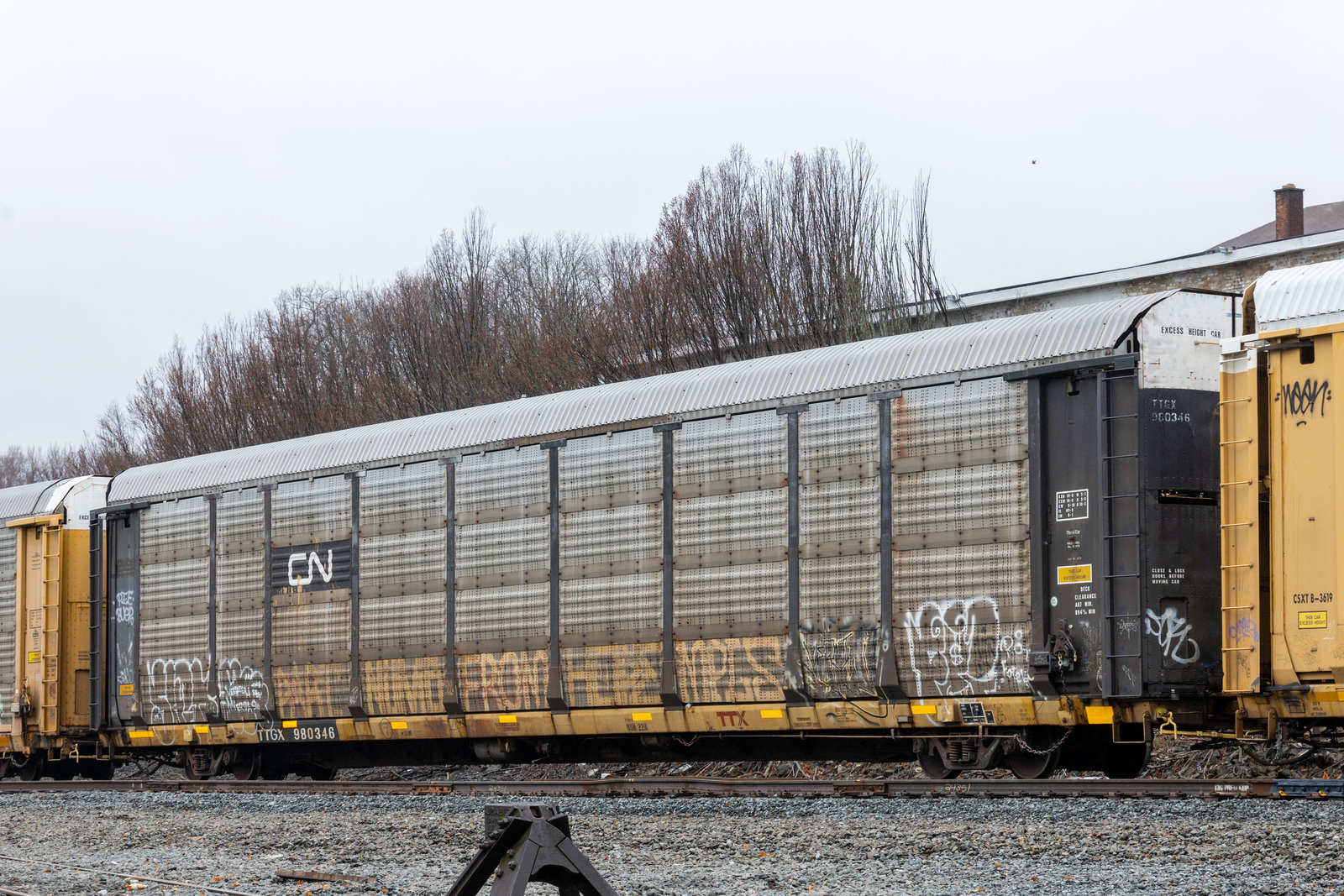 TTGX 980346