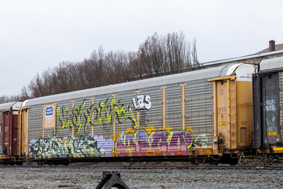 TTGX 986492