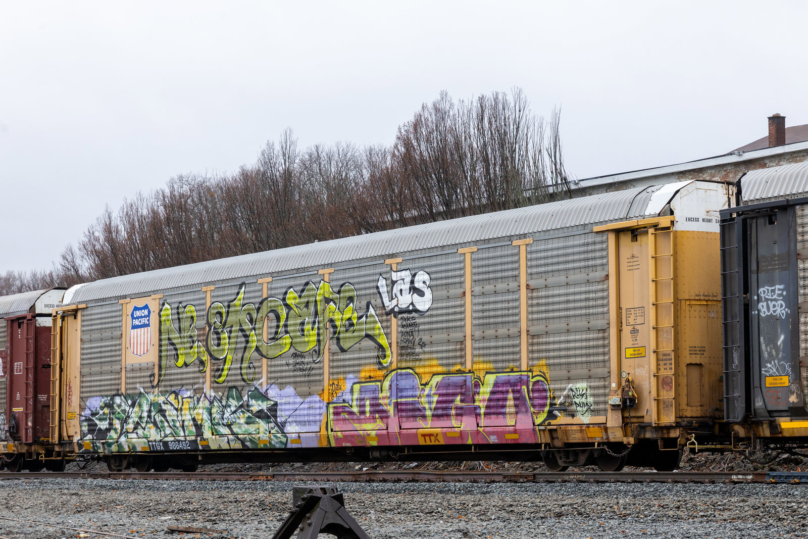 TTGX 986492