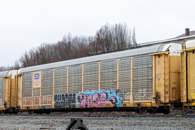 TTGX 985832