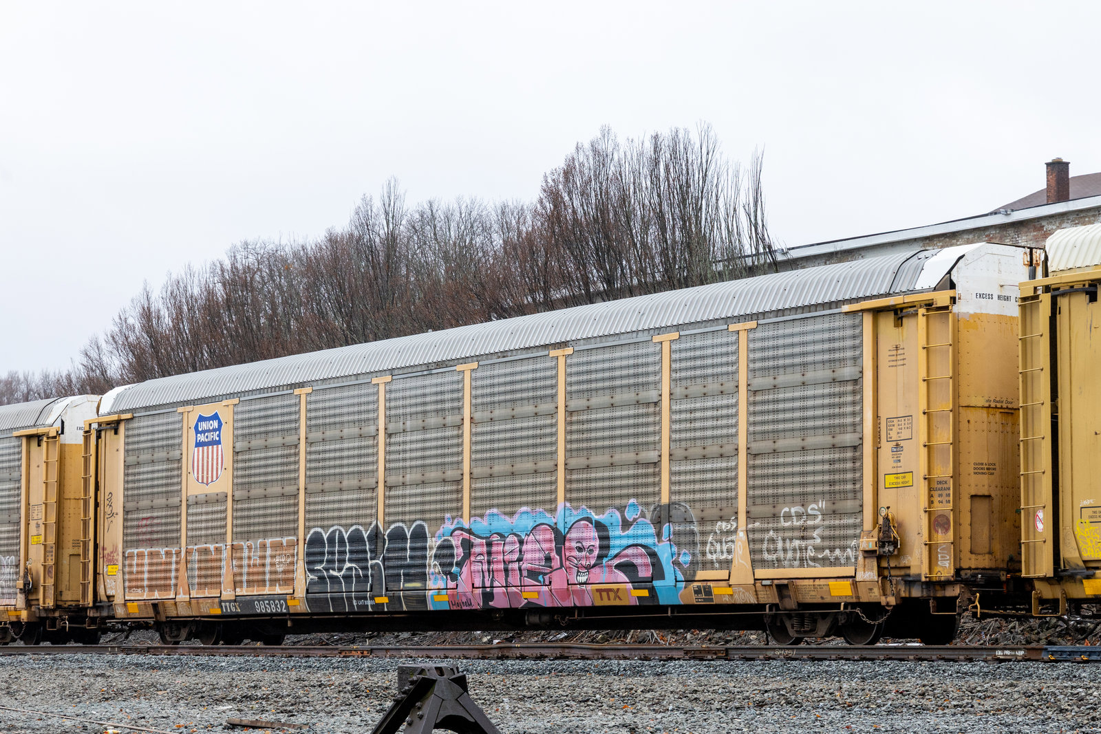 TTGX 985832