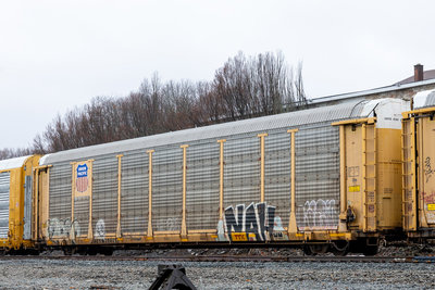 TTGX 952269