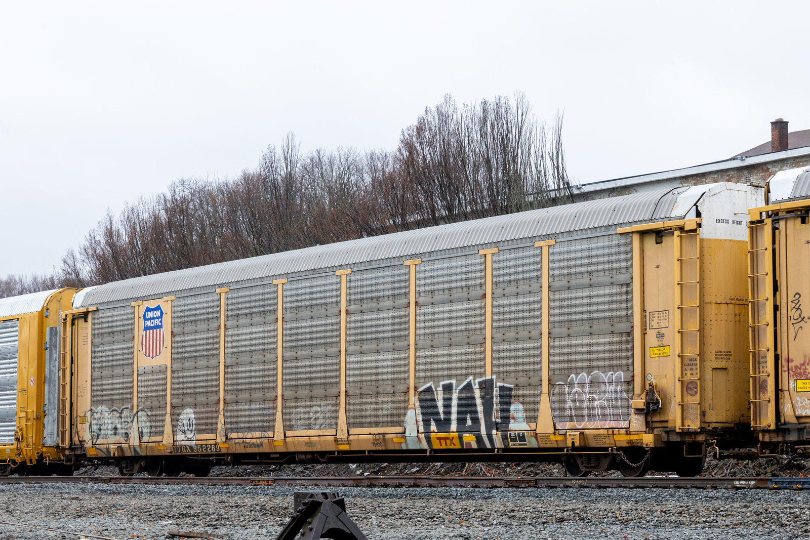 TTGX 952269