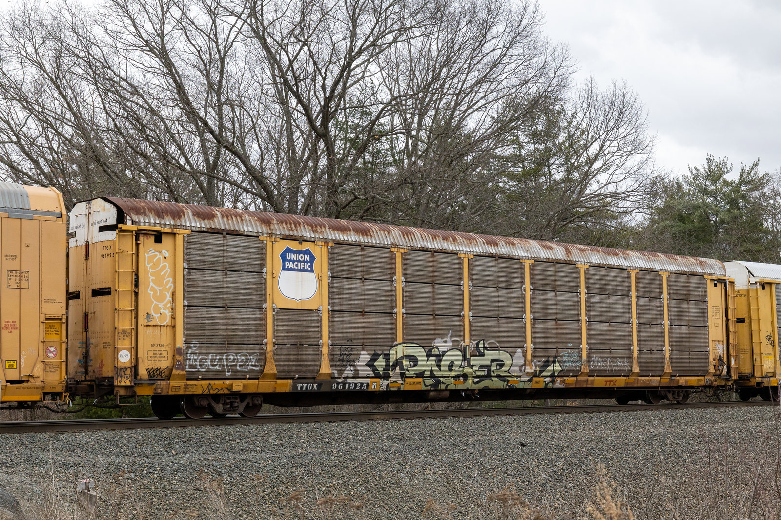 TTGX 961925