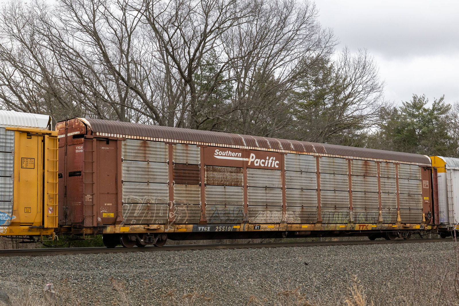 TTGX 255191