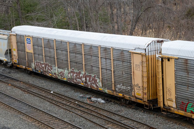 TTGX 254096