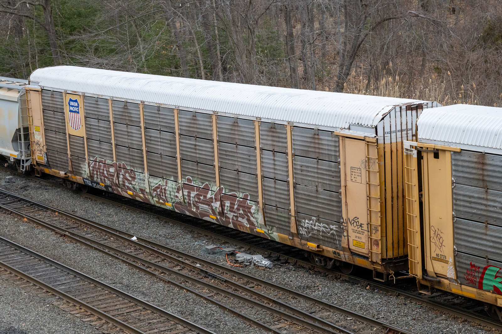 TTGX 254096