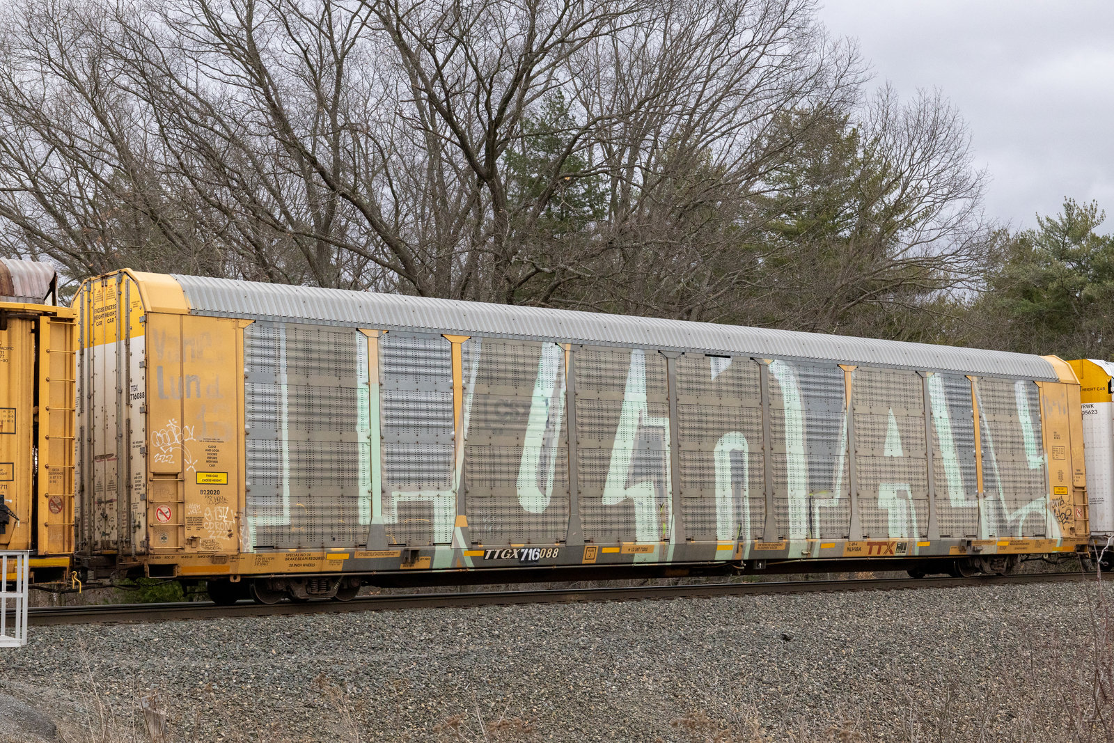 TTGX 716088