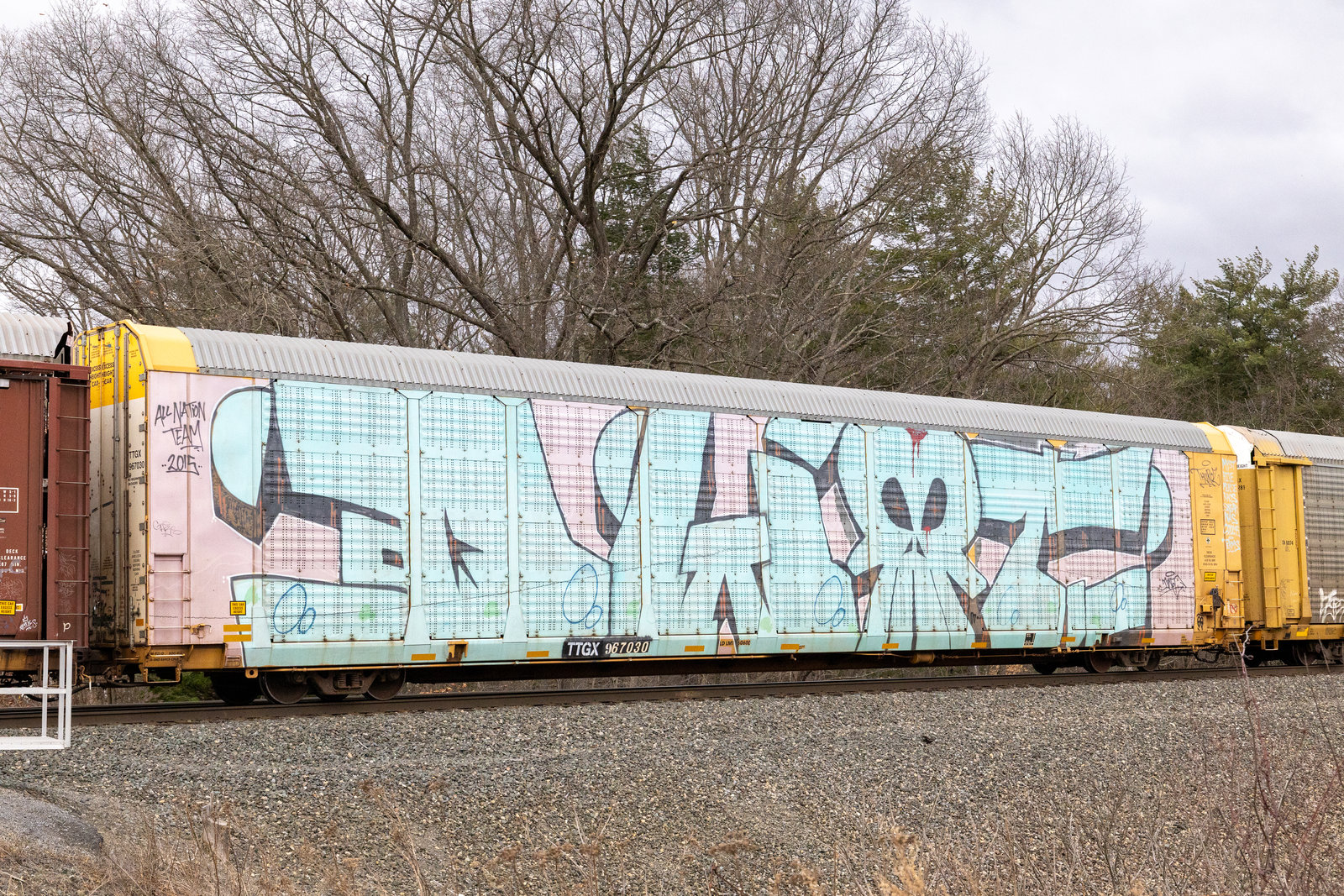 TTGX 967030