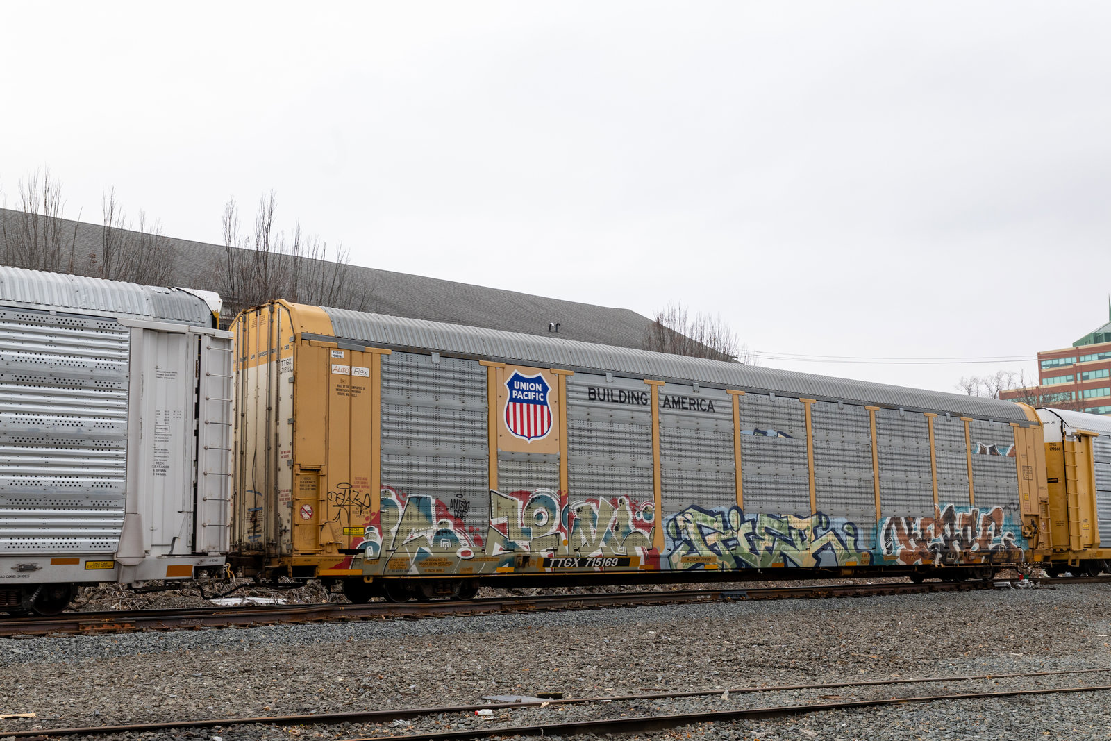 TTGX 715169