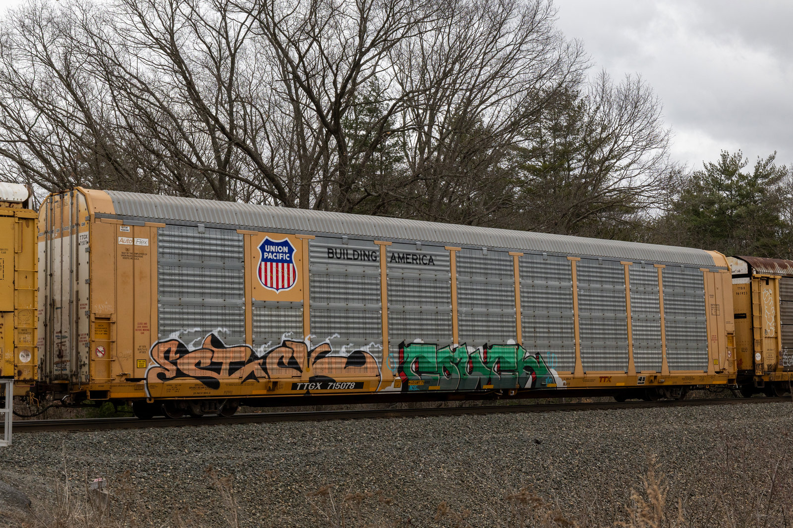 TTGX 715078
