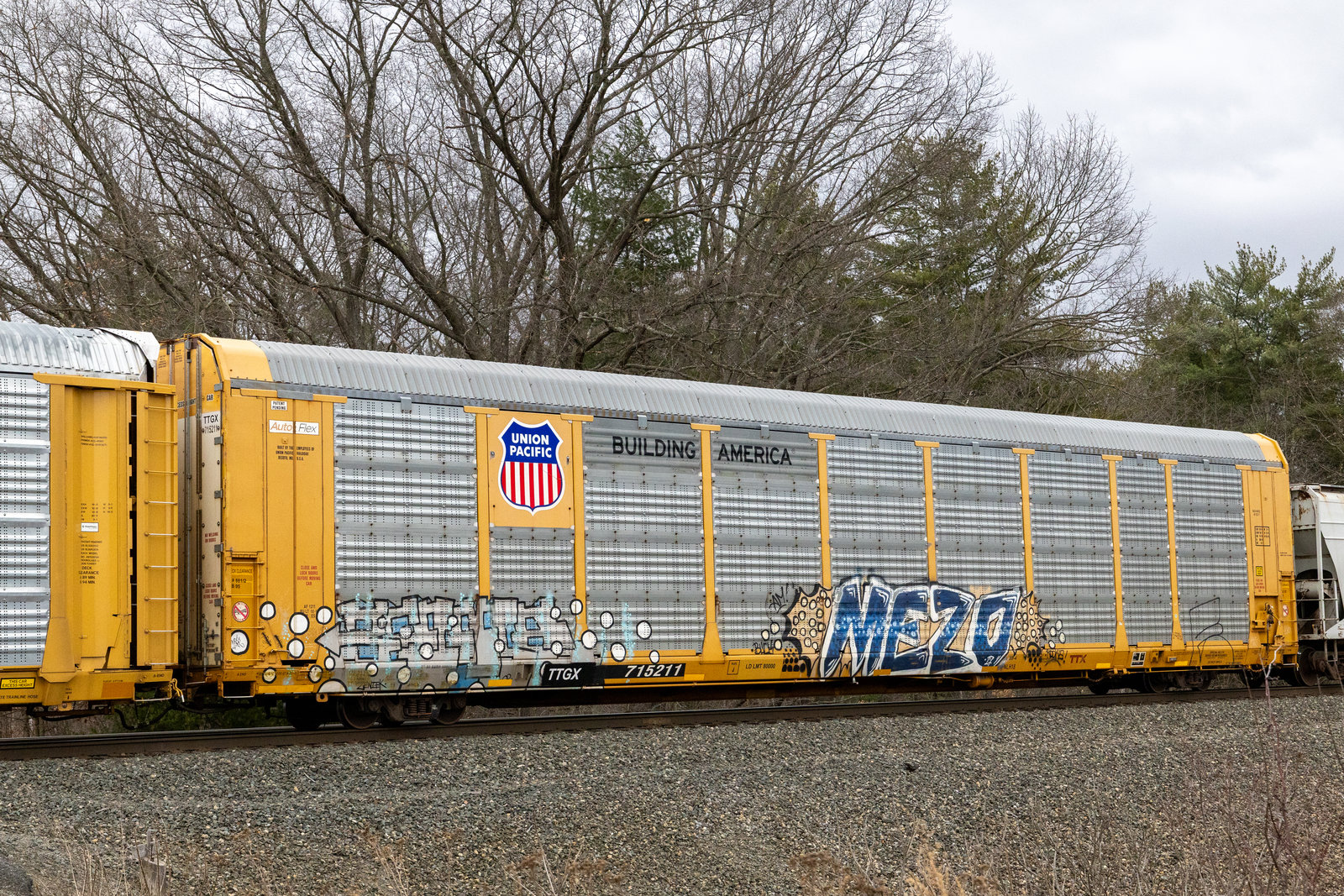 TTGX 715211