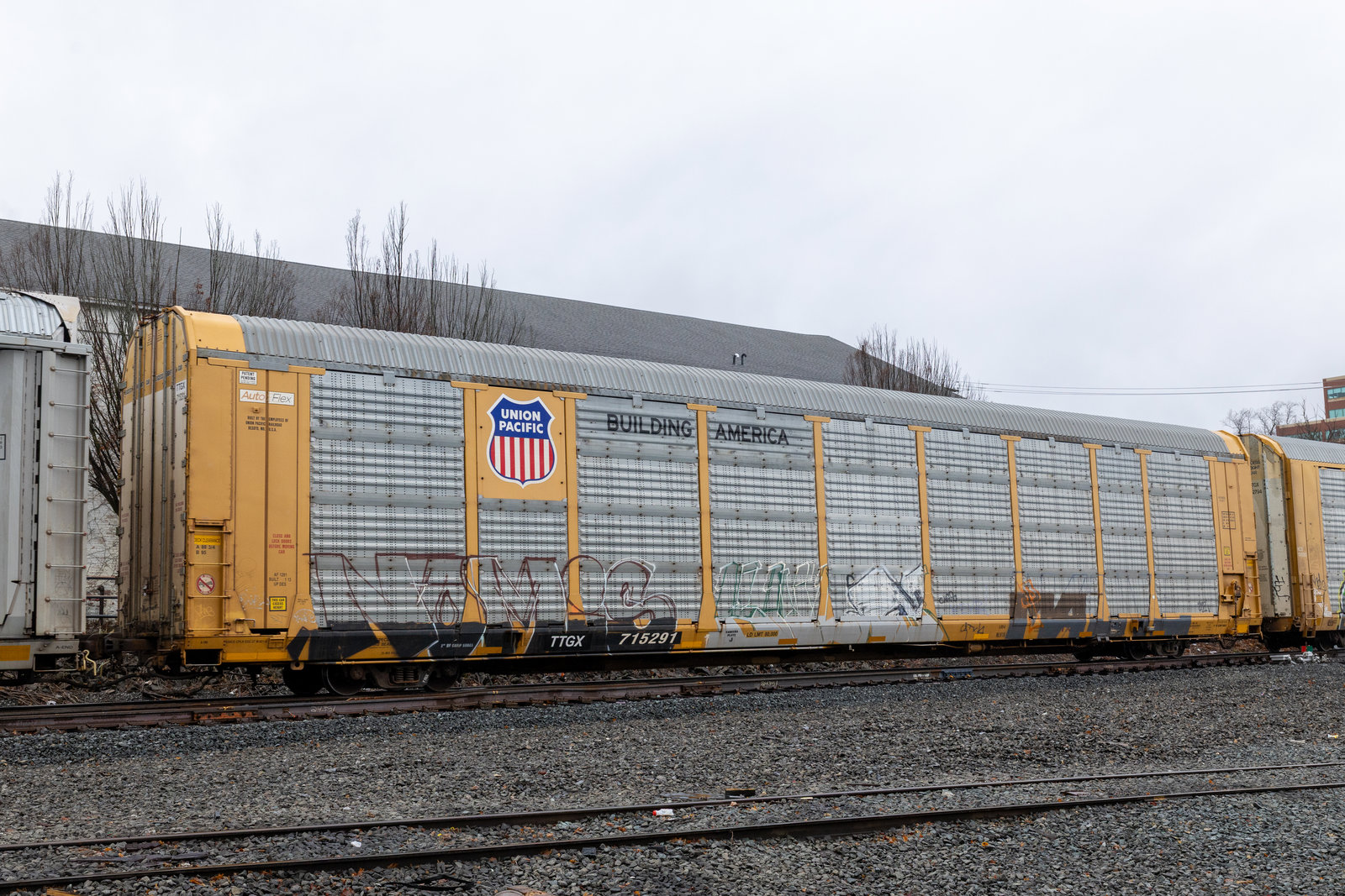 TTGX 715291