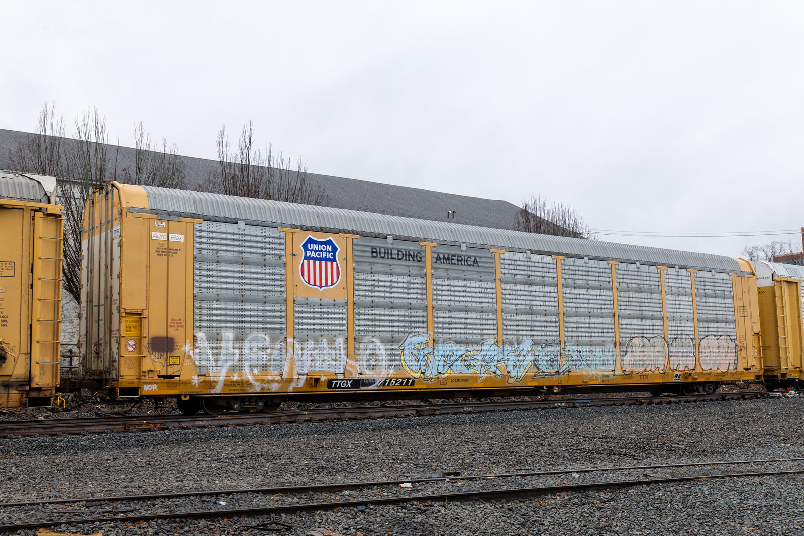 TTGX 715211