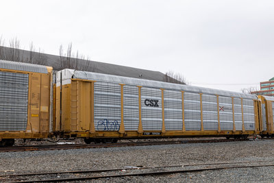 TTGX 709336