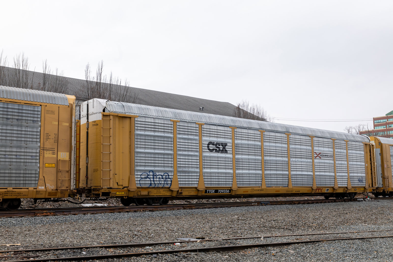 TTGX 709336