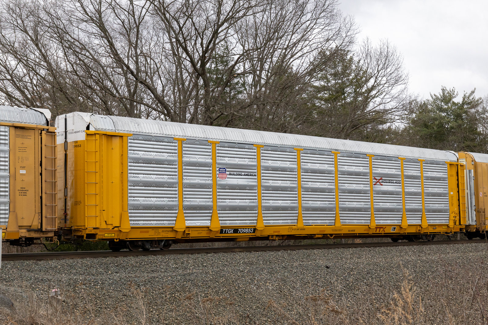TTGX 709853