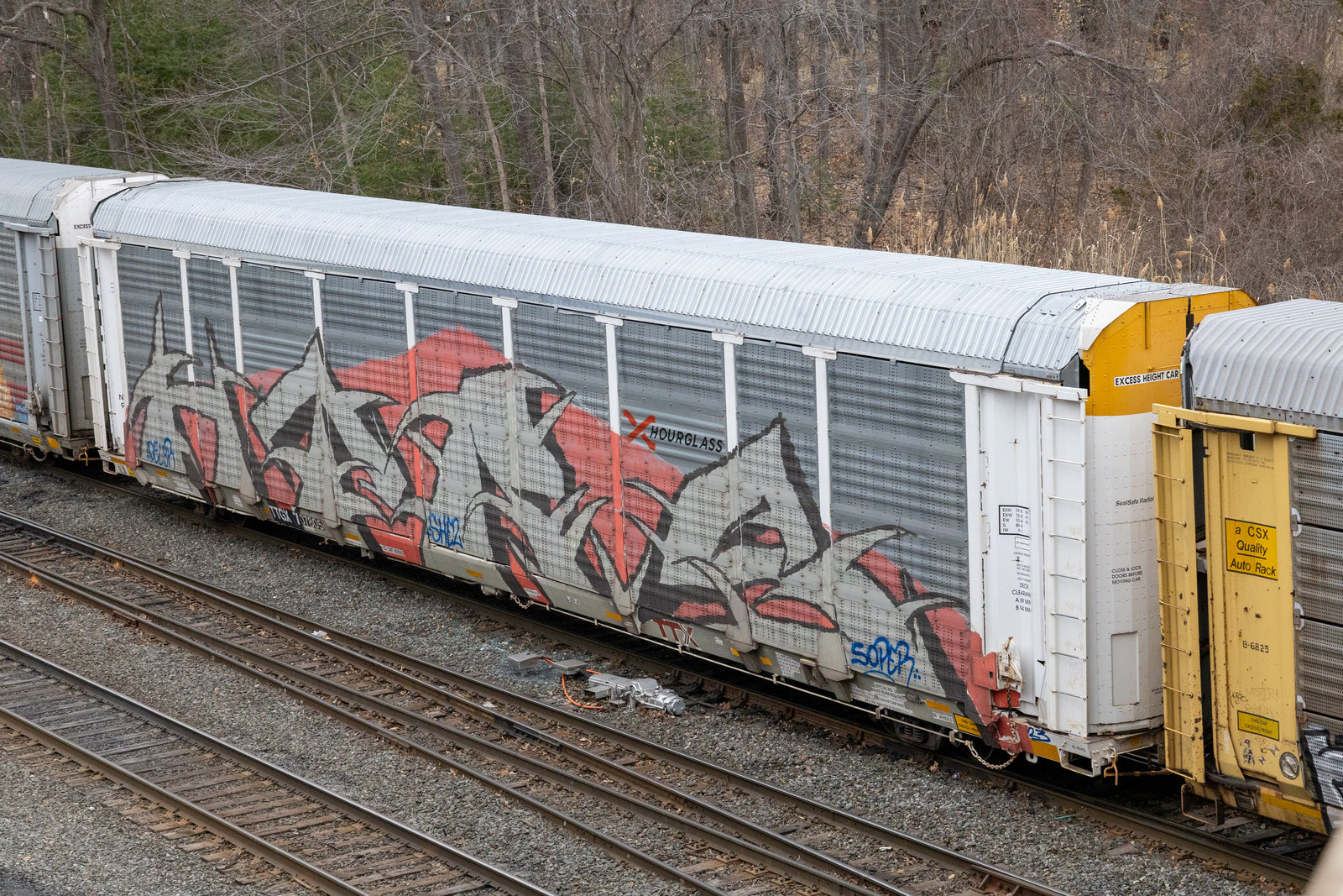 TTGX 707805
