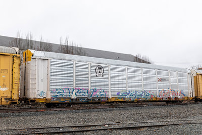 TTGX 708703