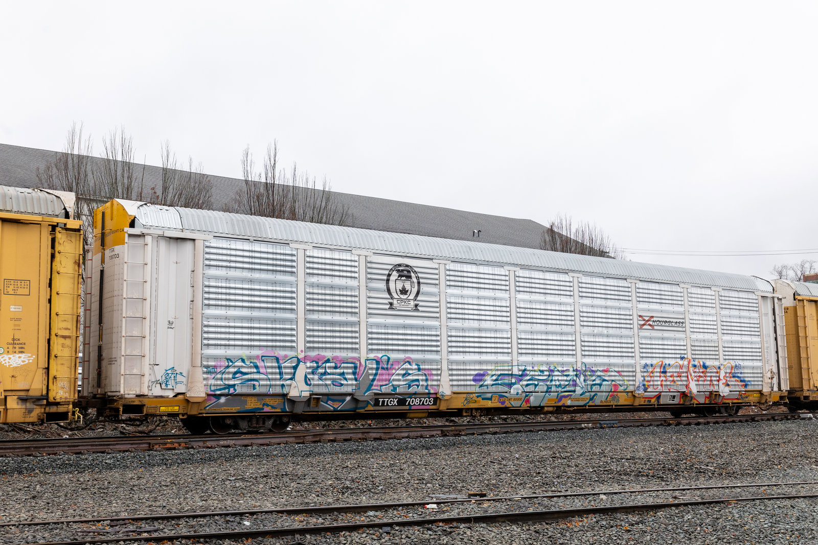 TTGX 708703